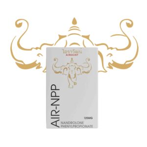 Air NPP