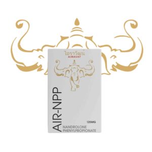 Air NPP
