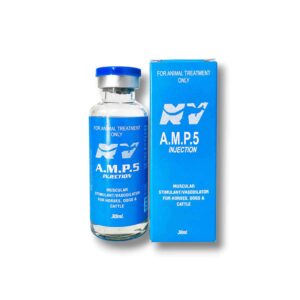 AMP.5