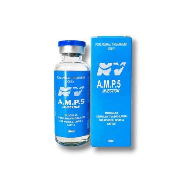 AMP.5