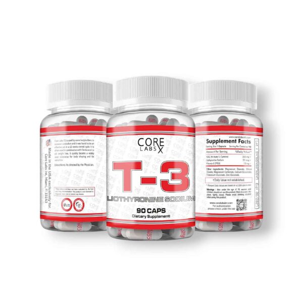 Core Labs T3