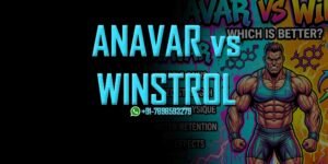 Anavar vs Winstrol