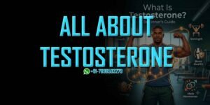 What is Testosterone
