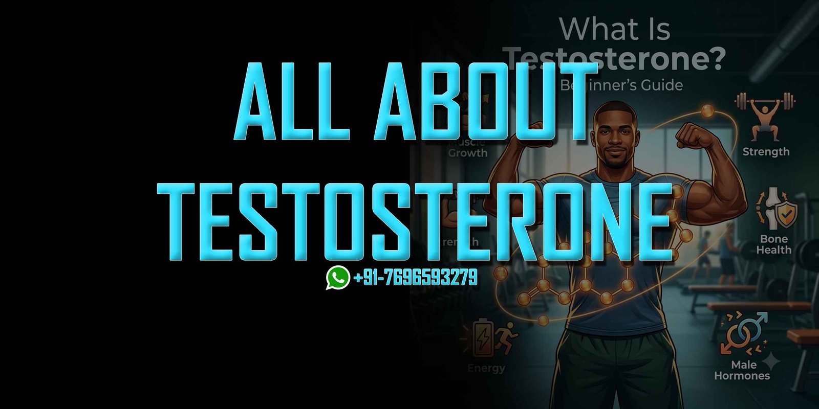 What is Testosterone