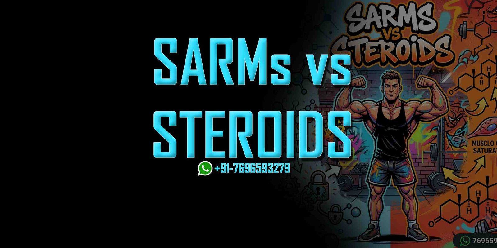 SARMs vs Steroids