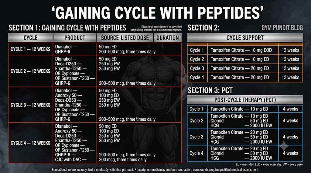 Gaining Cycle with Peptides