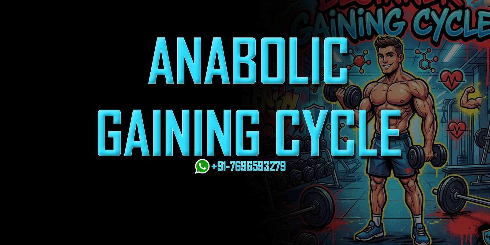 Beginner Gaining Cycle