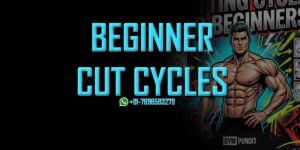 Cutting Cycle for Beginners