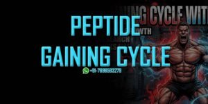 Gaining Cycle with Peptides