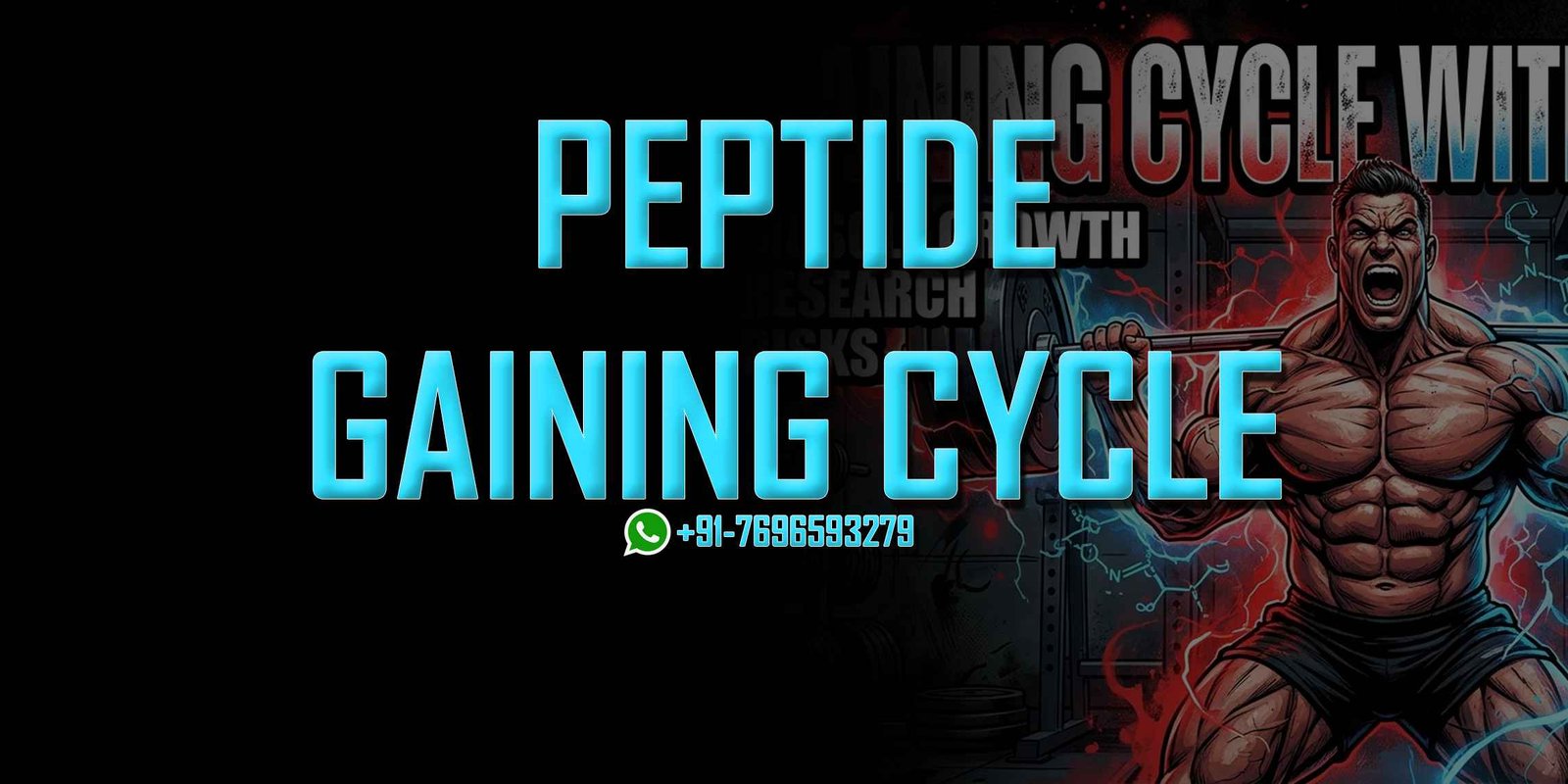 Gaining Cycle with Peptides