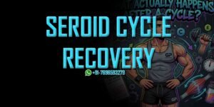 Steroid Cycle Recovery
