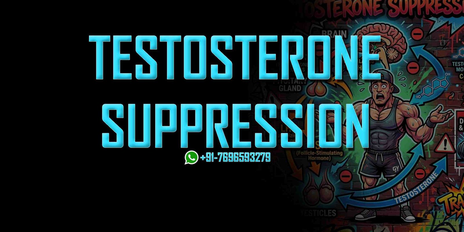 testosterone suppression