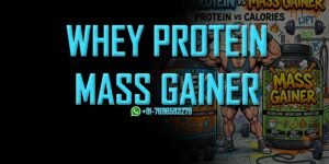 Whey Protein vs Mass Gainer
